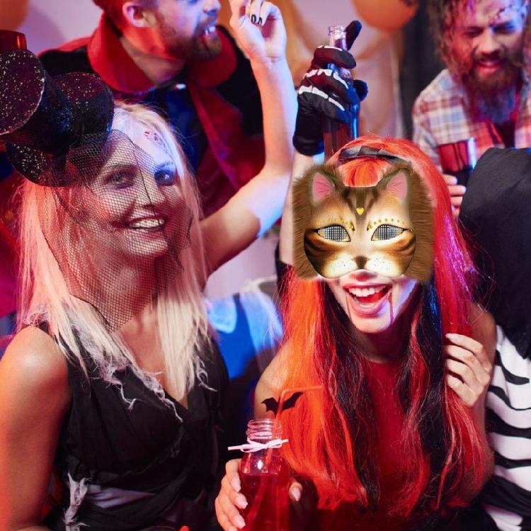 Cats Mask Masquerade Mask Anime Cosplay Mask Hand-Painted Cats Mask with Plush Fabric Blank Mask for Halloween