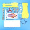 DIY Aerodynamic Speedboat Kits Electric Yacht Assembly Toy Physics Experiment Science Education Toys for Kids Gifts