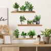 Painted Green Plants Potted Plants Shelves Bedroom Living Room Home Background Beautification Decorative Wall Stickers