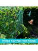 2m*5m Green Anti Bird Netting Pond Pool Protection Net Mesh Garden Plant Fruit Vegetables Flower Traps Netting Protect Pest Cont