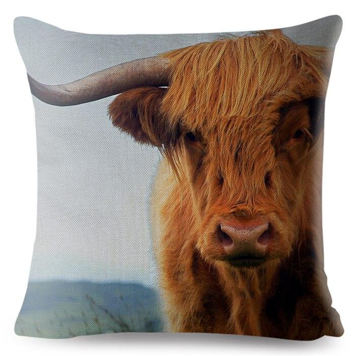 next square pillow cases