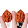 Old Tree High Toss Handcrafted Wenwan Lion Play Walnuts - Fine Pair of Four-Hand String for Men.