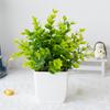 Plantas artificiais ecológicas, ornamentos para casa realistas e de baixa manutenção, ornamentos em vasos