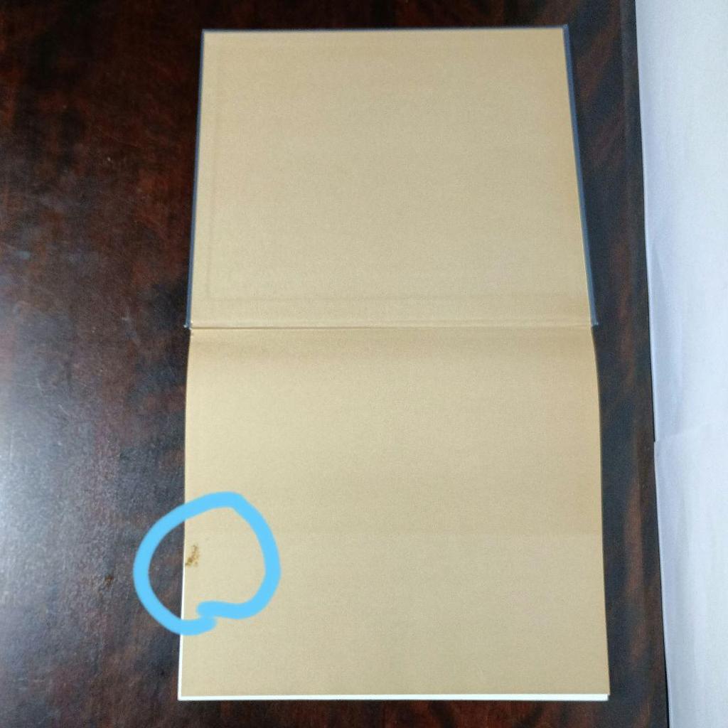 [USED] ENGLISH HOME STYLE PAM BOYS (Foreign Books Interior)