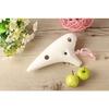 TNG Ocarina, Single, 12-Hole Alto C Key, Premium Wind Instrument, Made In Taiwan (Fuji Glaze)