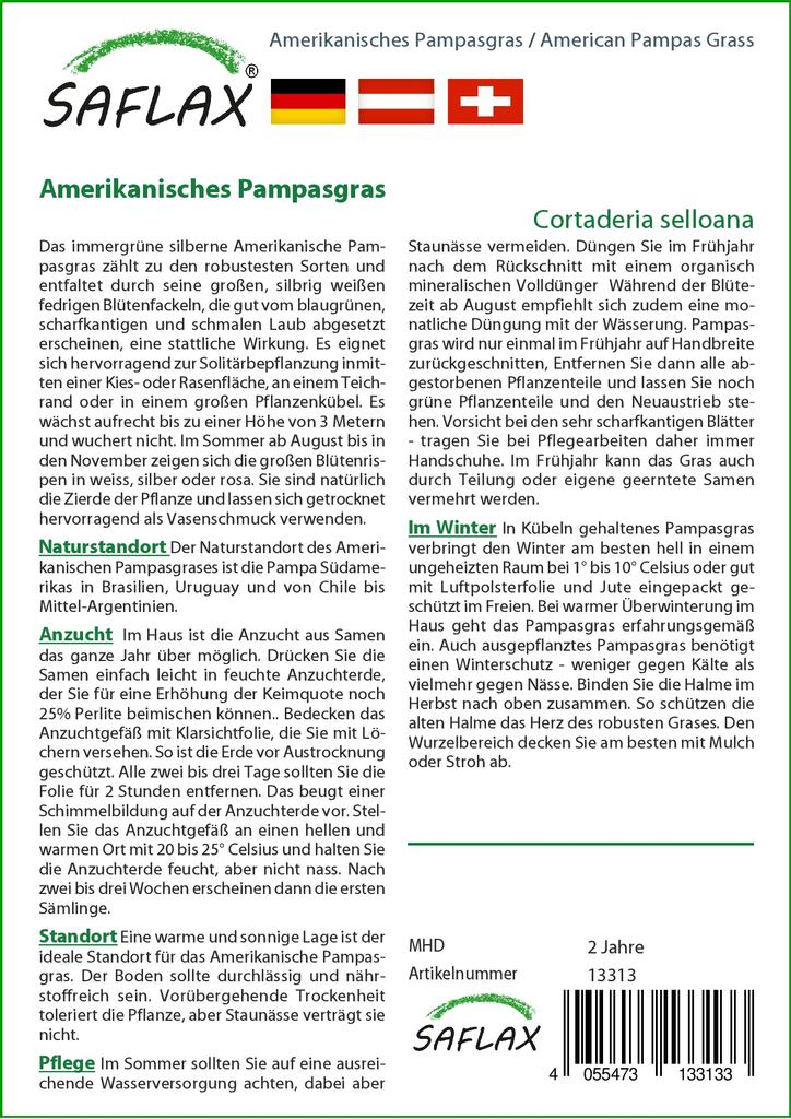 SAFLAX Erba della Pampa Americana - 200 semi - Cortaderia selloana