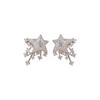Exquisite Star Stud Earrings with High-End Silver Needle Design - Versatile and Fashionable Luxury Ear Accessories
