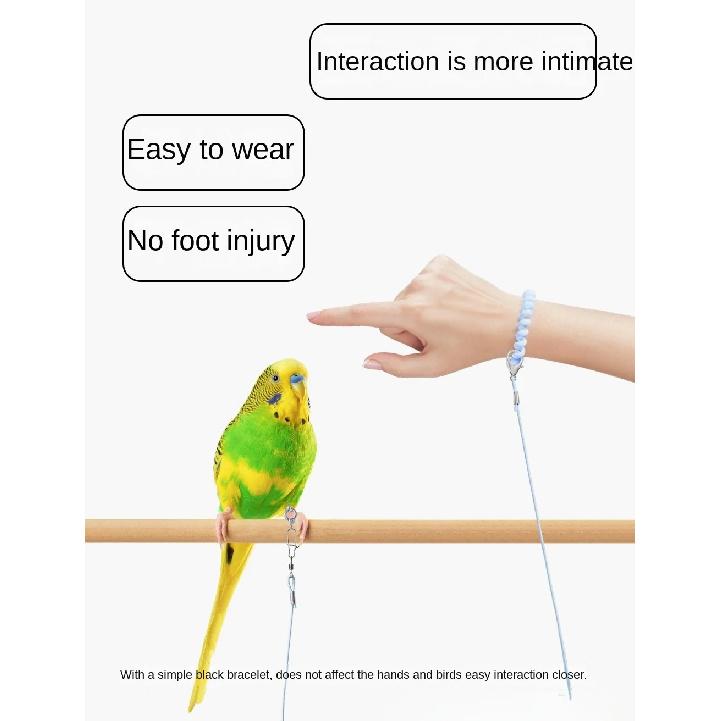 New Elastic Parrot Traction Rope Metal Buckle Multiple Size Bird Foot Chain Anti-flying Lightweight Bird Feet Bracelet for Birds