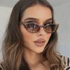 Nicht polarisierte Cat Eye Vintage Fashion Sonnenbrillen Damen Halbrandlose Kleine Rahmen Brillen Damen Persönlichkeit Einfache Sonnenbrillen Herren