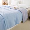 PAUI DAVID Aivi Bentley Blue All-Season Comfort Quilt
