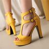 Fashion Summer Sexy T-Strap Sandals For Women Platforms Super High Heels Wedding Office Sandals Shoes Woman Zipper Gladiator Sandals