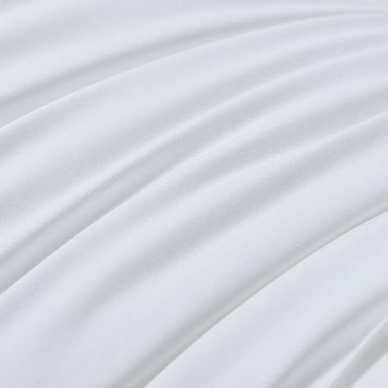 Star-Rated Hotel Feather Silk Cotton Pillow Core