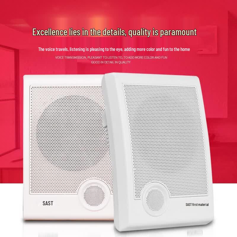 SAST ST-605 Wall-Mounted Bluetooth Audio System (CN Version)