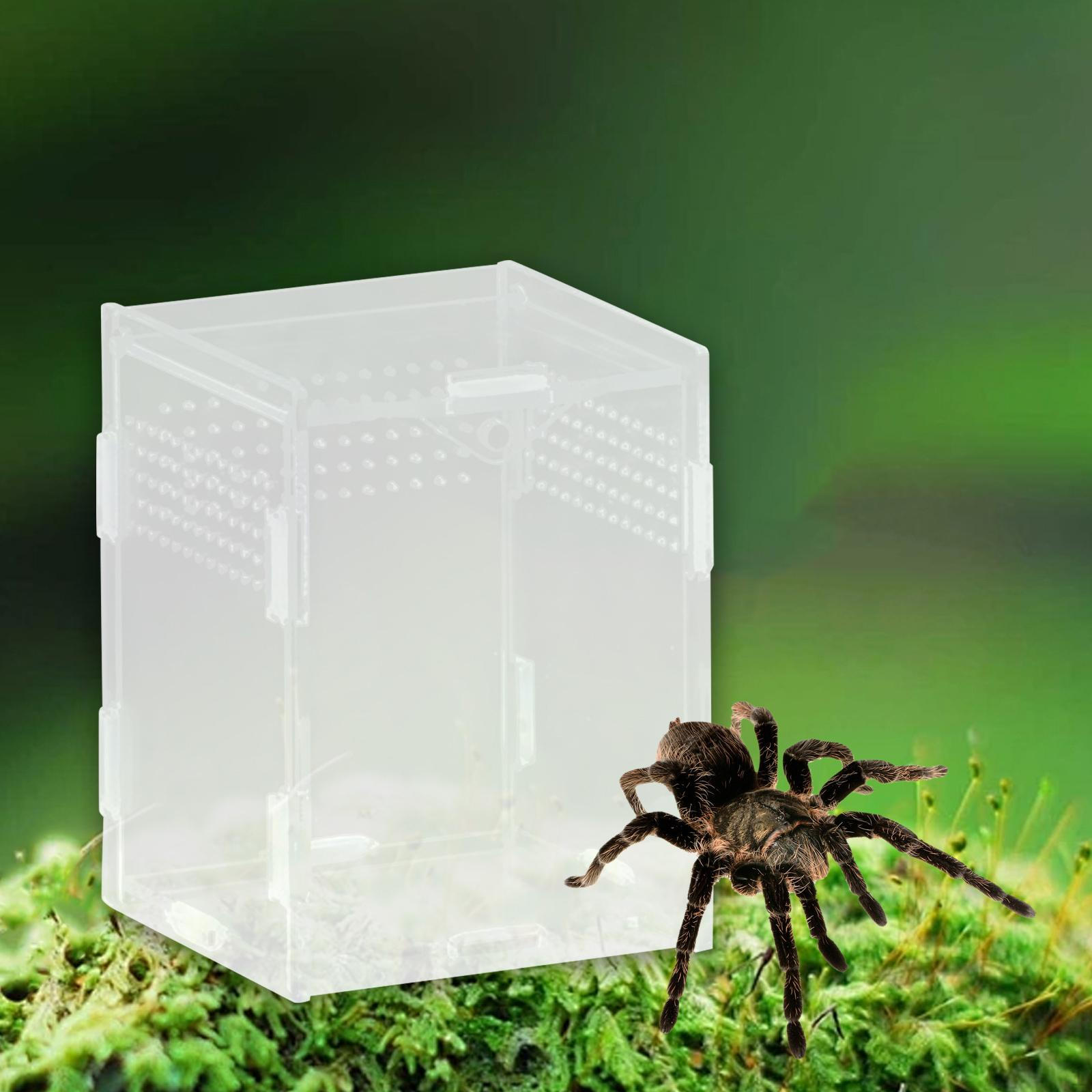 

Reptile Breeding Box Animal Habitat Cage Clear Terrarium Enclosure for Geckos Young 8x7x10cm