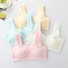Pure Cotton Training Bra for Girls: Ages 8-16, Anti-Show Design, Ideal for Elementary To Junior High Students