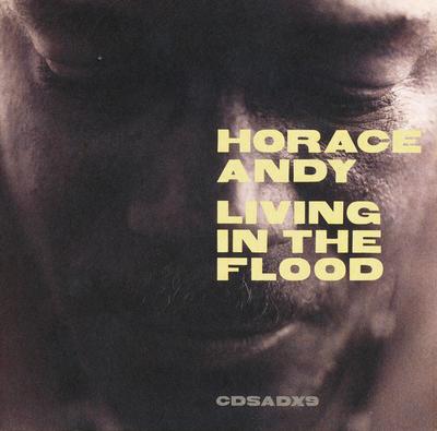 CD HORACE ANDY - Living In the Flood CDSADX9 Melankolic 1999 EU Dance & Electronica Used