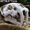 Simulated Dinosaur Skull Skull Shelter Resin Rockery Water Grass Landscape Skull Fish Tank Aquarium Decorative Ornaments