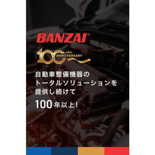 BANZAI Heavy-Duty Nippers, 150mm, No. 205A (Made In Sanjo, Niigata Prefecture / JIS H-Class for Exceptional Sharpness!)