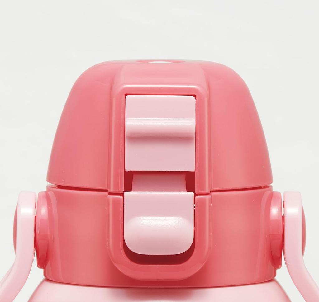 Skater Water Direct Sanrio Hello Kitty Fancy Snacks Stainless Sports Water Children's Bottle, 600ml, Drinking, & Weets, Girls', Insulated, Steel,