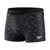 Speedo Mens Valmilton Swim Shorts