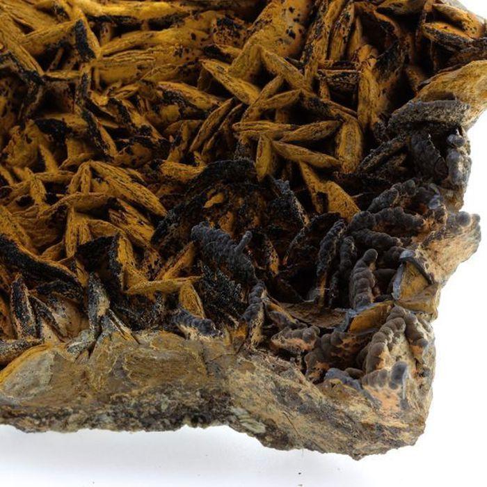 Pyrolusite et Goethite sur Sidérite 2140.1 carats