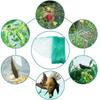 Grünes Vogelnetz – Strapazierfähiges Gartennnetz zum Schutz von Pflanzen & Obstbäumen – UV- & Frostschutz, Wiederverwendbar – Verschiedene Größen erhältlich