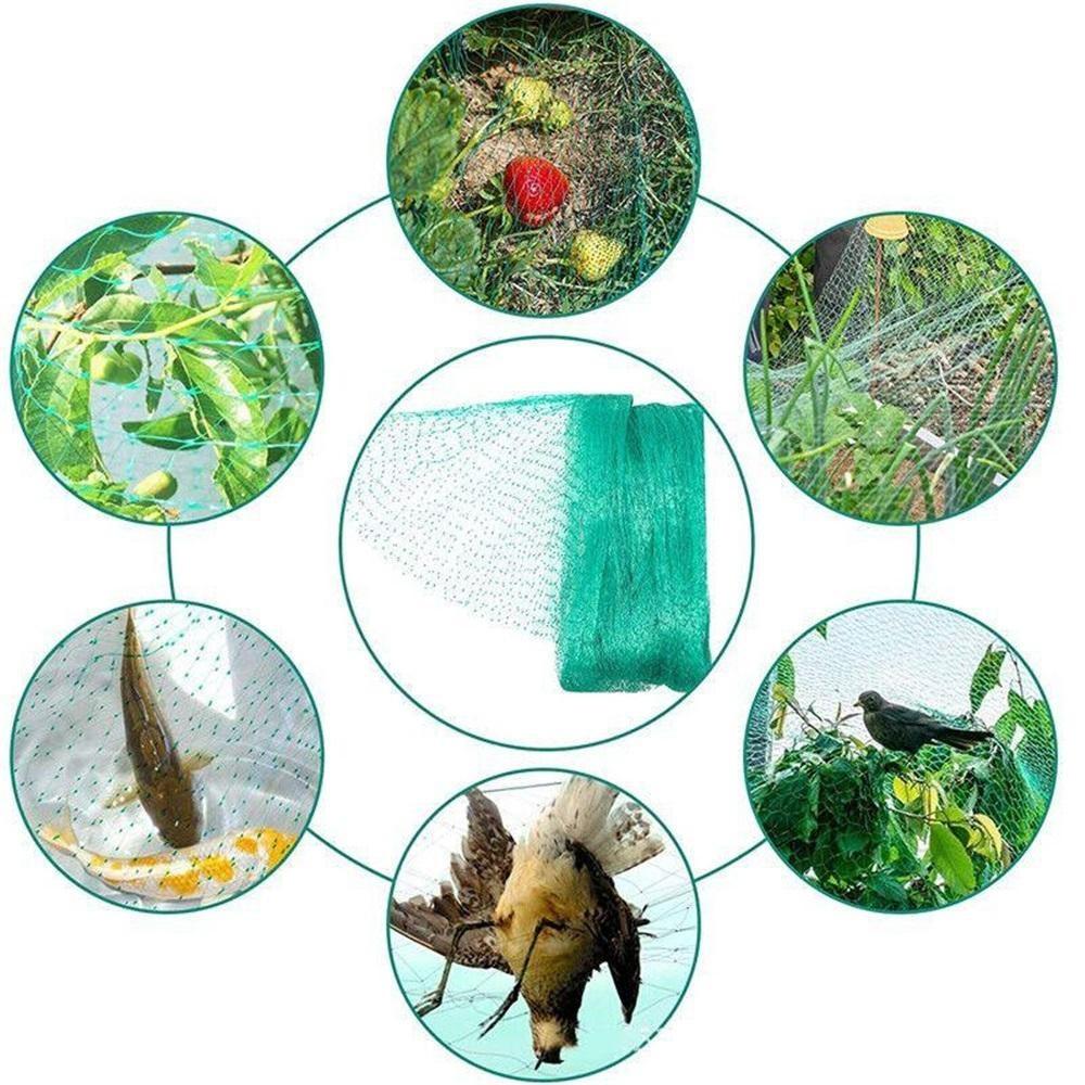 Grünes Vogelnetz – Strapazierfähiges Gartennnetz zum Schutz von Pflanzen & Obstbäumen – UV- & Frostschutz, Wiederverwendbar – Verschiedene Größen erhältlich