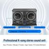 SAST K28 Home KTV Karaoke System CN plug (adapter included) (CN version)
