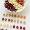 Czech-Style Coffee Bean Beads: DIY Jewelry Beading Supplies for Bracelets, Necklaces, Earrings