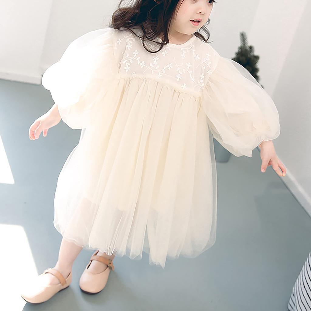 Tulle Lace Dress Balloon Sleeve Baby Dress Wedding Birthday Kids Dress Halloween Costume Present Princess Fabric Embroidery Flower White Ribbon