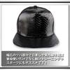 WHITE FANG Leather Hat Snake Pattern Flat Brim Cap Black Red Leather Stylish Cool CA153 Men's (04 Silver)