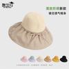 Summer Vinyl Big Brim Sun Hat Outdoor Travel Face Cover Sun Protection Hat Children Fashion Versatile Face Small Bucket Hat