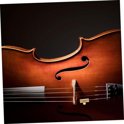 2 Cello Wolf Sounders, Cello Wolf Tone Mutes, Wolf Note Suppressors, Cello Wolf Tone Suppressors, Cello Mutes, Wolf Tone Eliminators, Mute Suppressors