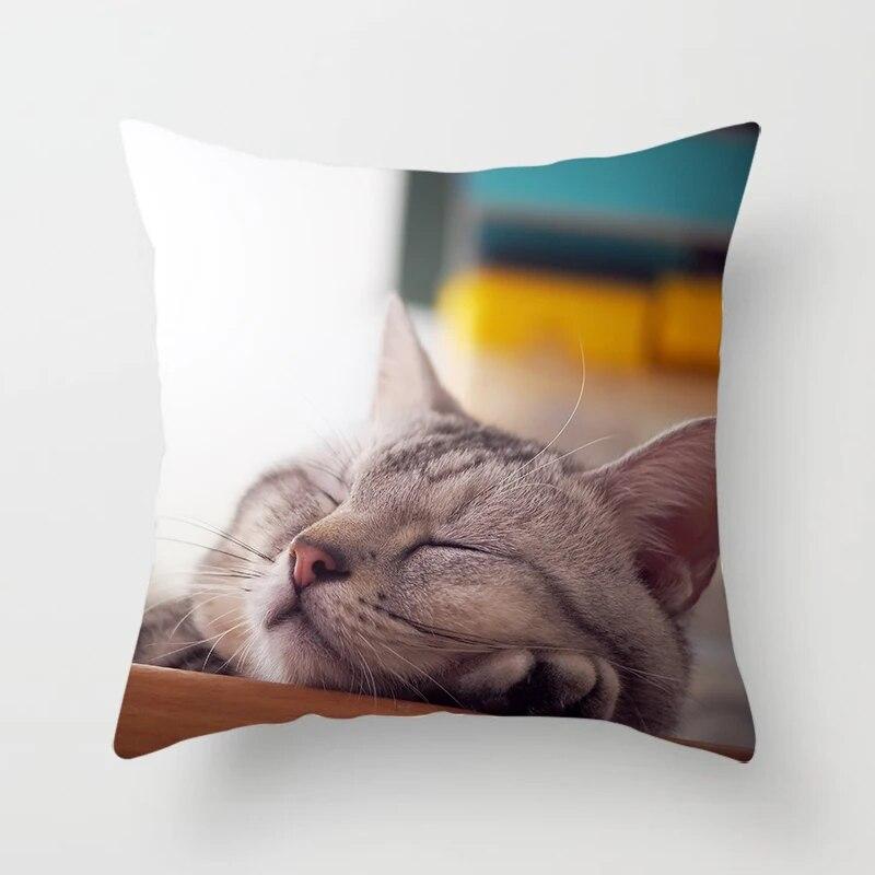 Home Decor Witchcraft Cat Stealing  Cushion Cover Cute  Sofa Car Decoration 45x45cm Pillowcase Square Polyester