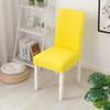 Luxury Minimalist Elastic One-Piece Chair and Sofa Cover