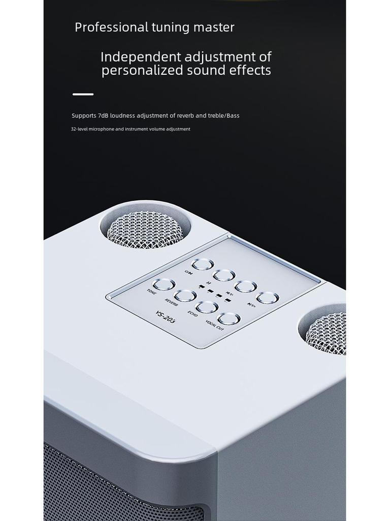 YS203k Bluetooth Karaoke Speaker with Wireless Microphone and Subwoofer
