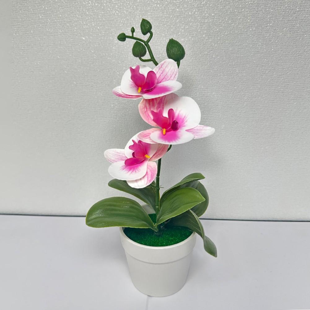 Fake Flower Plant Phalaenopsis Bonsai Easy To Style