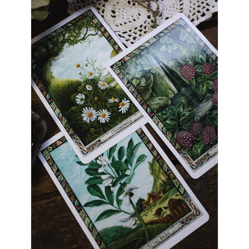 10.4*7.3cm Druid Bitki Oracle: Druid Geleneğinin Büyülü Florası ile Çalışmak 36 Adet Kart
