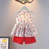 Girls Summer Princess Two Piece Set Short Sleeve Top And Skirt Fashionable Outfit For Little Kids