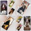 Dogs 1 Springer Spaniel Cell Phone Case for Samsung Galaxy S26 Ultra S25 S24 S23 S22 S21 S20 Note10 Cover