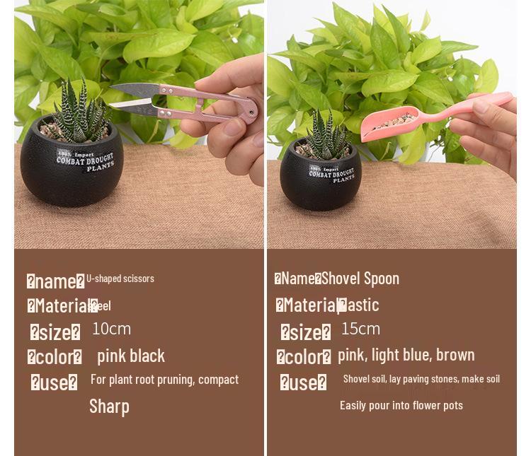 Succulent Planting Tool Set: Gardening Supplies & Bonsai Tools with Watering Can
