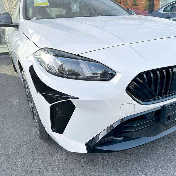 

BMW 1 Series F70 & 2 Series F74 M Sport Side Skirt Diffuser Pair none