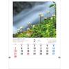 Todan 2027 Wall Calendar Japanese Wildflowers and Plants TD-818