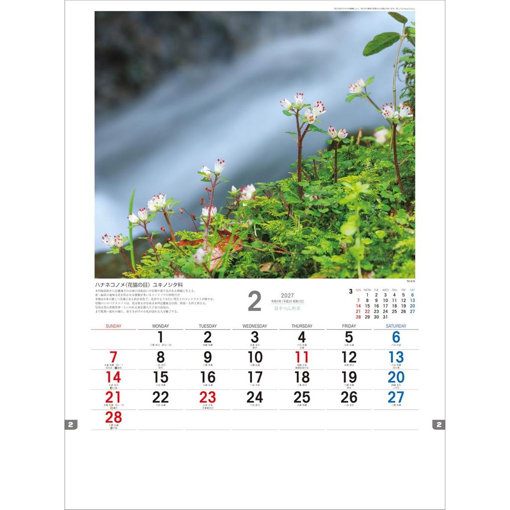Todan 2027 Wall Calendar Japanese Wildflowers and Plants TD-818