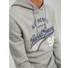 Jack & Jones Ethan Hoodie 2 Units
