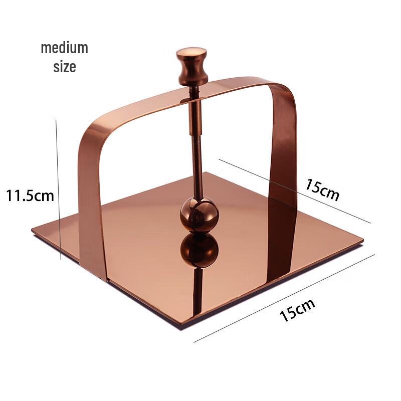 

Aige Stainless Steel Tissue Holder