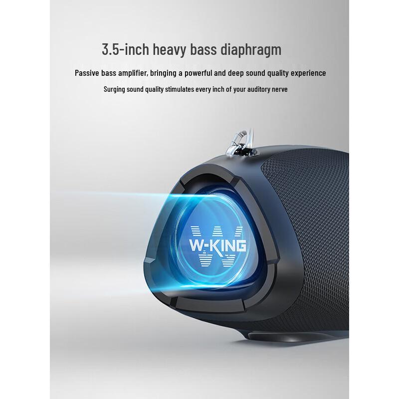 W-King D10+ Portable Bluetooth KTV Speaker