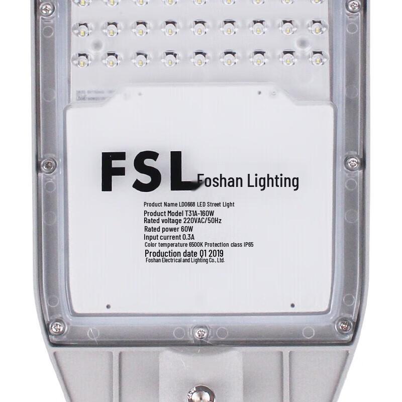 FSL LED Outdoor Street Light
