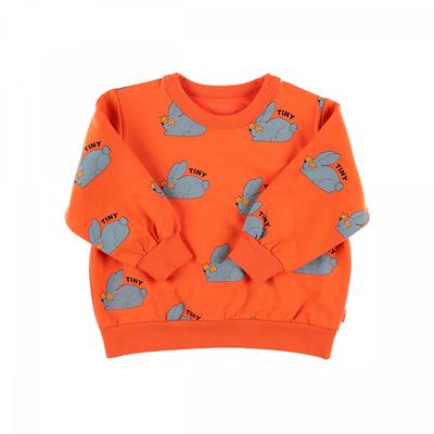 Tiny Cotton Aw24 059 J08  Rabbits Sweatshirt  Rabbit Kids Sweatshirt