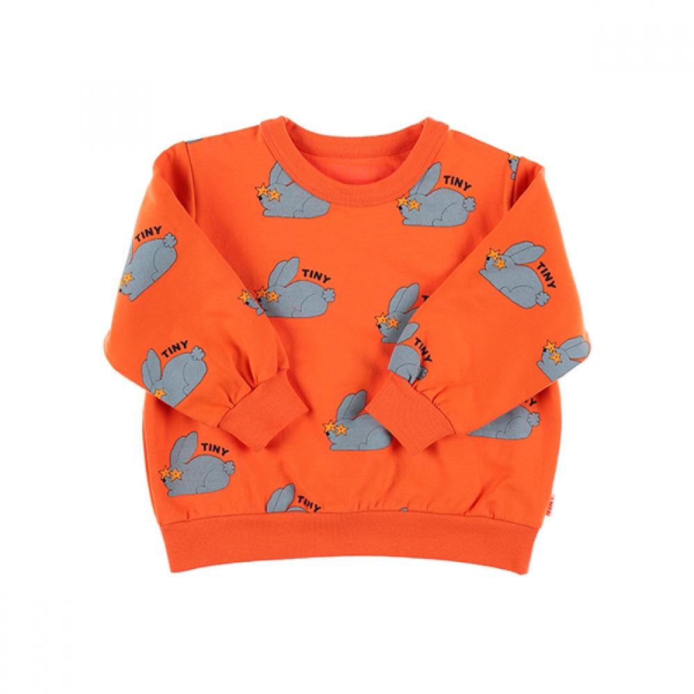 

Tiny Cotton Aw24 059 J08 Rabbits Sweatshirt Rabbit Kids Sweatshirt AW24-059 J08 (8Y)